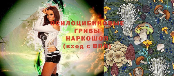 МДПВ Михайлов