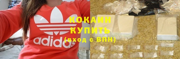 МДПВ Михайлов