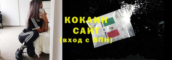 ешки Медногорск
