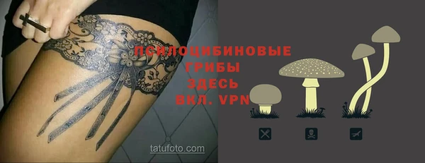 эйфоретик Медвежьегорск