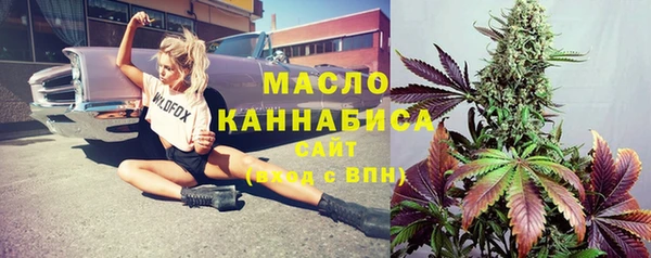 ешки Медногорск