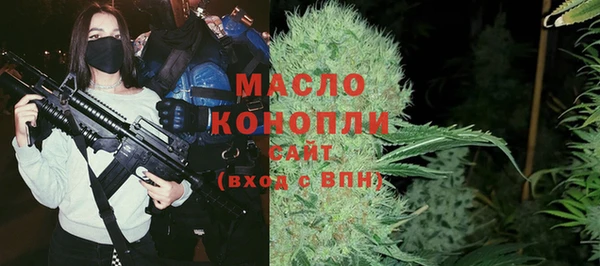 МДПВ Михайлов