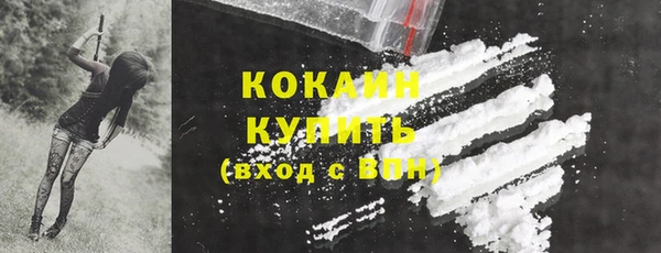 ешки Медногорск
