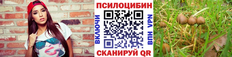Псилоцибиновые грибы Magic Shrooms  Рославль 